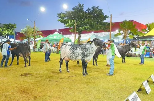 ACA divulga calendário de 2026 das grandes exposições agropecuárias de Alagoas