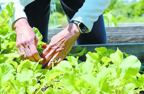 FNE terá orçamento recorde para ampliar apoio à base produtiva