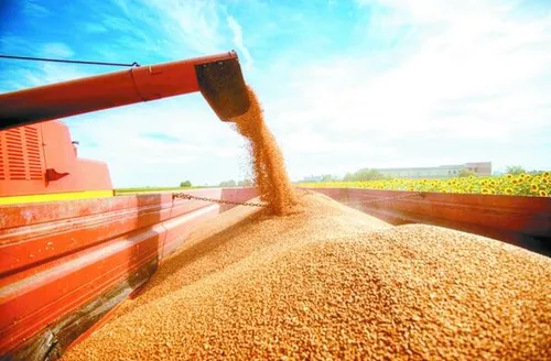 Produção de grãos na safra 2025/2026 está estimada em 354,4 milhões de toneladas