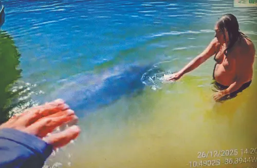 Risco de importunação a animais aumenta na alta temporada em AL