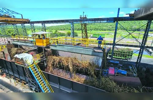 Usinas alagoanas já produziram mais de 613 mil toneladas de açúcar na safra 25/26