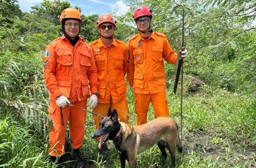 Canil dos Bombeiros atua na localização de desaparecidos em Alagoas