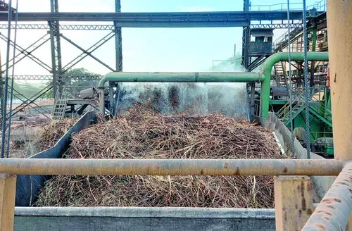 CBIO pode garantir renda extra para fornecedores de cana