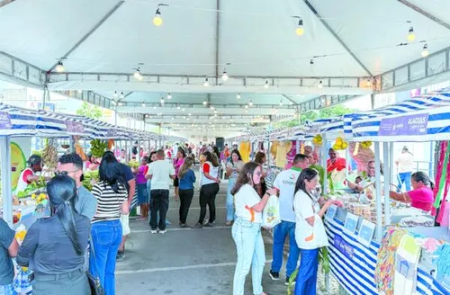 Circuito Estadual de Feiras da Agricultura Familiar começa em fevereiro e terá nove etapas em 2026