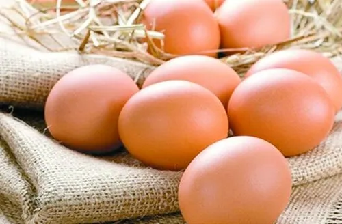 Exportações de ovos totalizam 40,9 mil toneladas em 2025