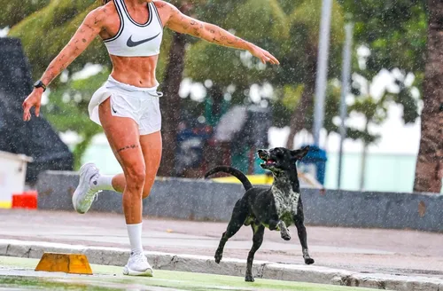 Pace, o ‘cão atleta’ que virou símbolo da orla de Maceió