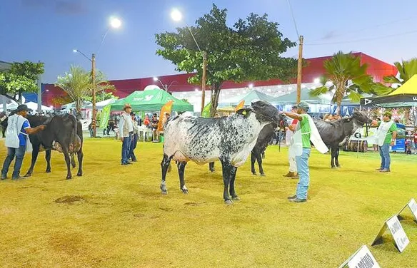 ACA divulga calendário de 2026 das grandes exposições agropecuárias de Alagoas