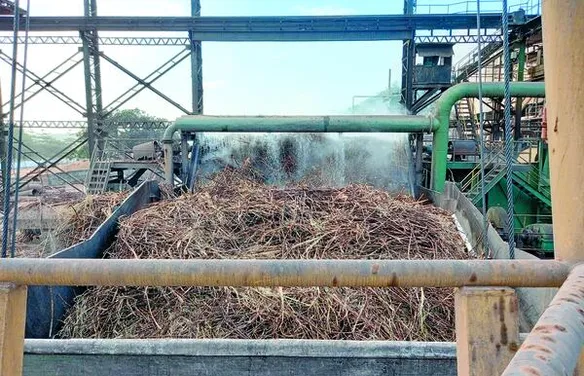 CBIO pode garantir renda extra para fornecedores de cana