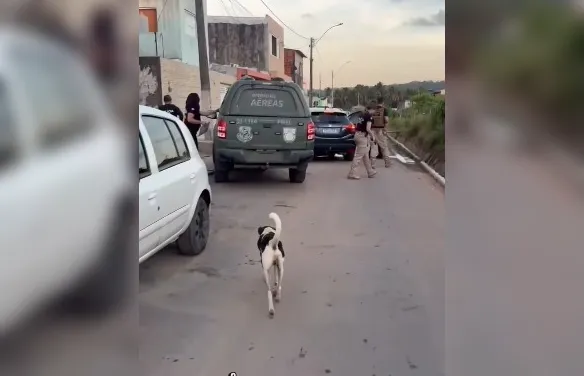 Homem é preso em Maceió suspeito de aplicar golpe do falso cadastro habitacional