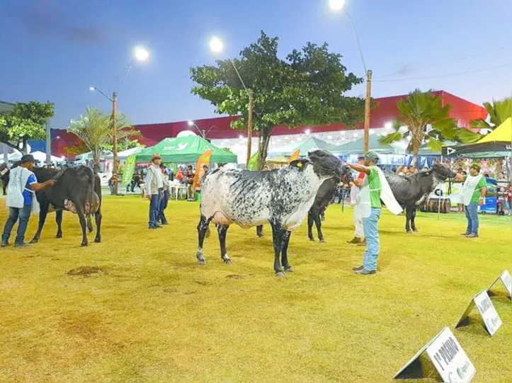 Expoalagoas Genética acontece de 11 a 17 de maio de 2026, no Parque da Pecuária, em Maceió