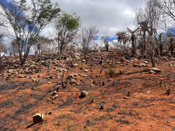 Ainda assim, estado registrou o menor percentual de área com estiagem entre os vizinhos do Nordeste
