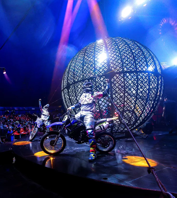 Imagem ilustrativa da imagem Debaixo da lona