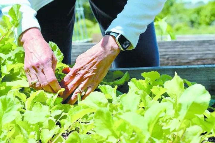 Crédito ganha escala e fortalece o desenvolvimento inclusivo no Nordeste