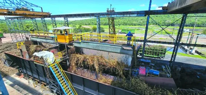 Linha de recepção e preparo da cana-de-açúcar em operação nas usinas de Alagoas