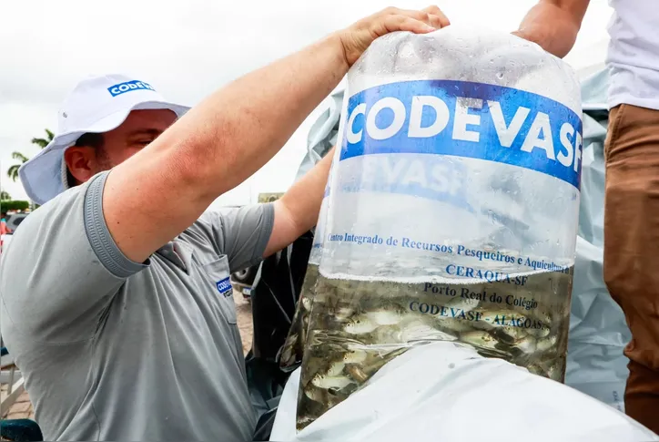 A piscicultura é uma das atividades que recebem apoio da Codevasf em Alagoas