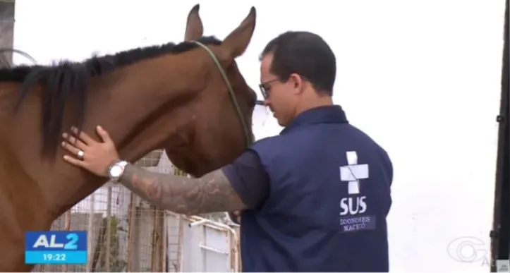 O animal tinha ferimentos visíveis e apresentava dificuldade para andar