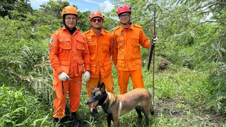 Imagem ilustrativa da imagem Canil dos Bombeiros atua na localização de desaparecidos em Alagoas