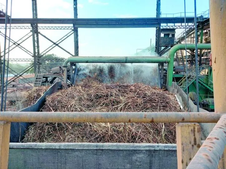 Imagem ilustrativa da imagem CBIO pode garantir renda extra para fornecedores de cana