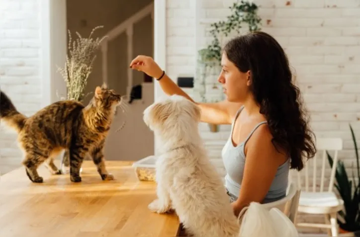 Imagem ilustrativa da imagem Descubra exames e cuidados mais comuns que os pets podem precisar