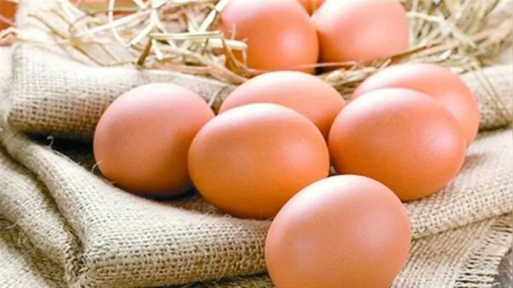 Imagem ilustrativa da imagem Exportações de ovos totalizam 40,9 mil toneladas em 2025