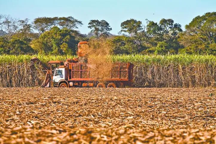 Imagem ilustrativa da imagem Safra de cana supera 11,2 milhões de toneladas esmagadas em Alagoas