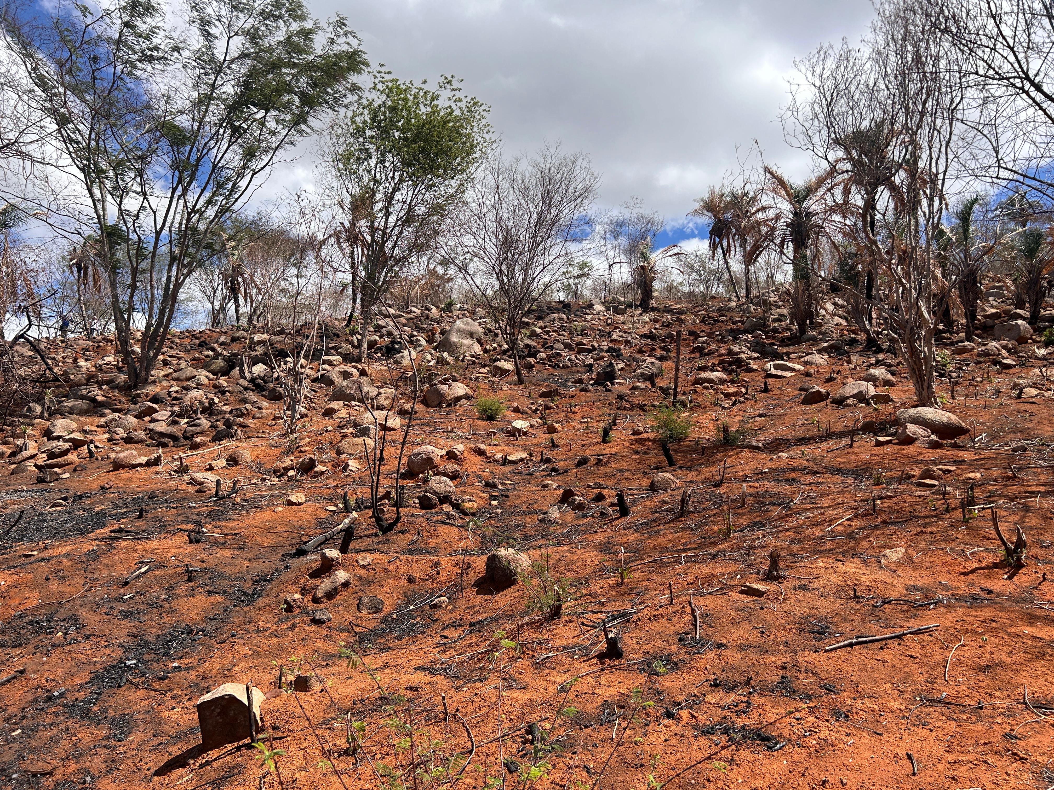 Alagoas tem aumento na área e na intensidade da seca, aponta monitor