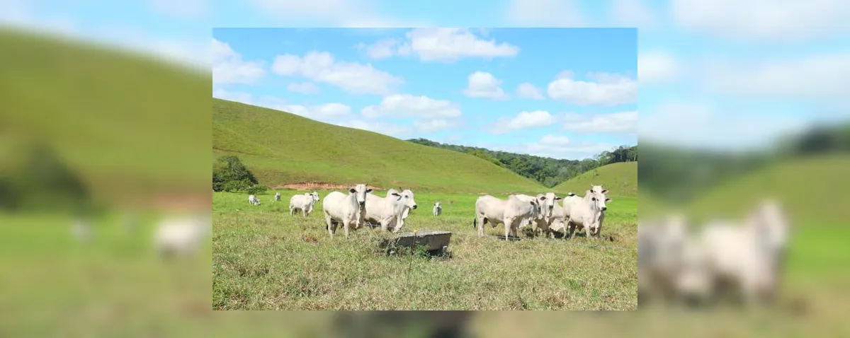 PASTEJO ULTRA-ADENSADO CONQUISTA ESPAÇO EM ALAGOAS