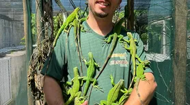 De jabutis a serpentes: pets exóticos ganham adeptos em Alagoas