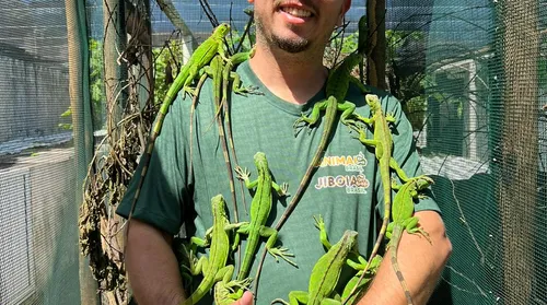 De jabutis a serpentes: pets exóticos ganham adeptos em Alagoas - Imagem