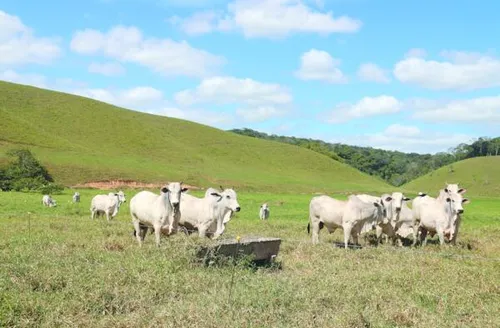 PASTEJO ULTRA-ADENSADO CONQUISTA ESPAÇO EM ALAGOAS