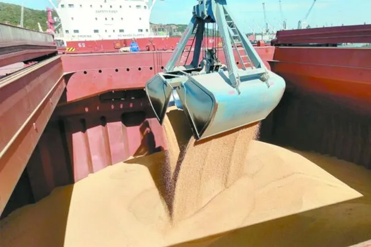 Montante é o maior valor em três anos e representa 7% de tudo o que o Brasil exportou no período; produtos de origem vegetal, minerais e alimentos são os itens mais vendidos no mercado internacional