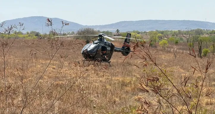Imagem ilustrativa da imagem Tragédia na AL-220 mata 16 pessoas e deixa mais de 20 feridas