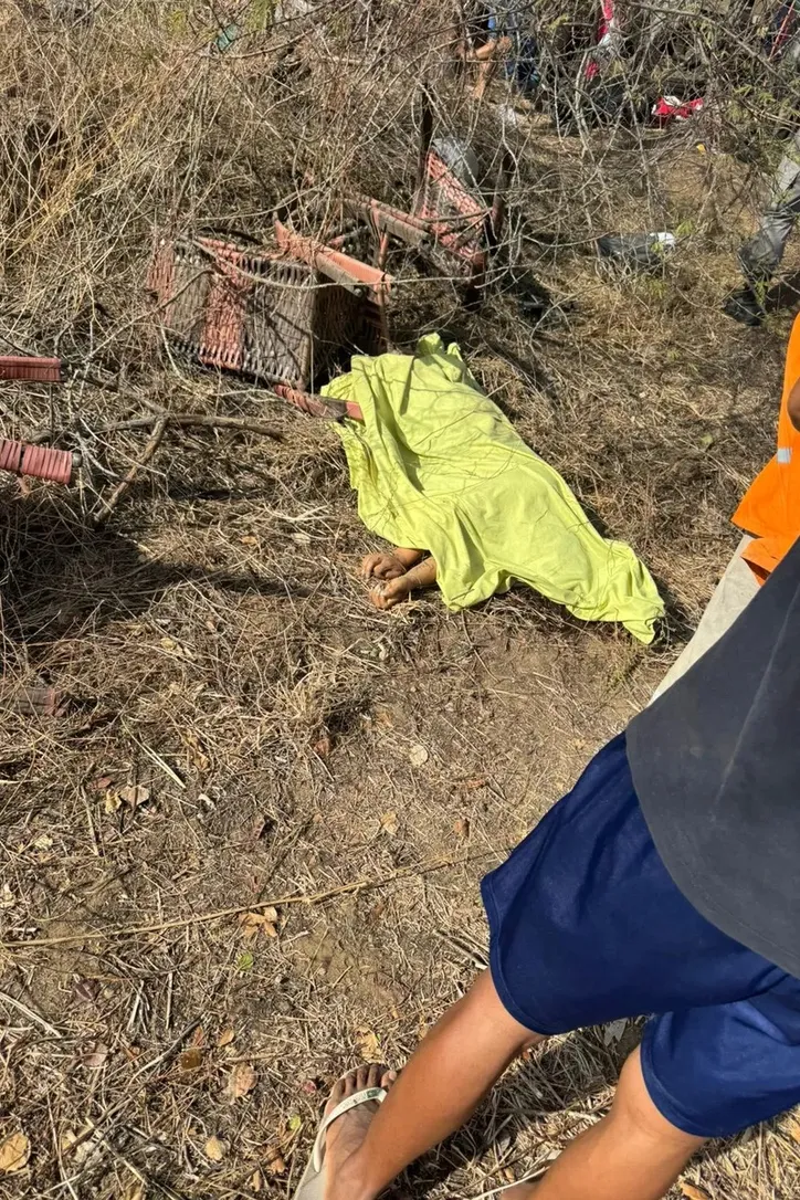 Imagem ilustrativa da imagem Tragédia na AL-220 mata 16 pessoas e deixa mais de 20 feridas