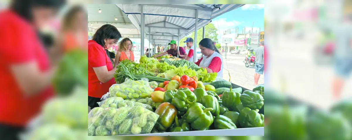 Agricultura familiar entra no roteiro do turismo com 2º Circuito de Feiras
