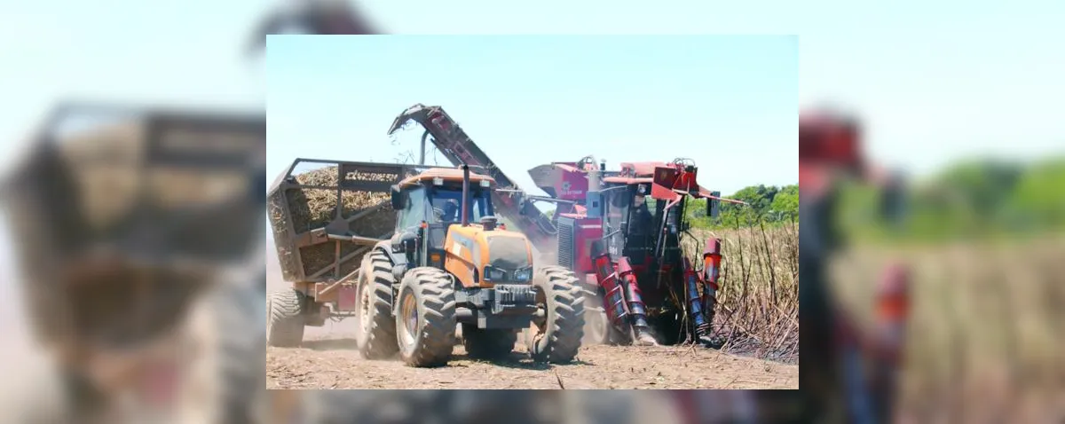 Serra Grande inova com colheitadeiras que operam em áreas de declive