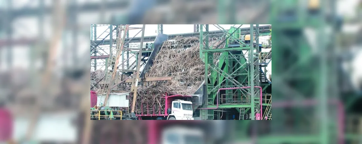 Sistema de limpeza a seco aumenta eficiência no processamento da cana