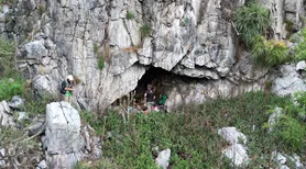 Caverna em Alagoas abriga uma das maiores colônias de morcegos do Brasil