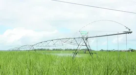 Comissão aprova ressarcimento para produtor rural por perdas decorrentes da falta de energia