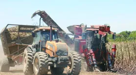 Mecanização avança na cana em Alagoas diante da falta de mão de obra