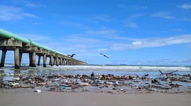 Microplásticos acendem alerta ambiental no litoral alagoano