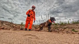 Operação com cão farejador tenta localizar homem levado por correnteza