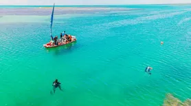 Projeto ambiental avança na recuperação dos corais no litoral de Alagoas