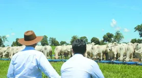 Valor Bruto da Produção Agropecuária deve atingir R$ 1,39 tri em 2026