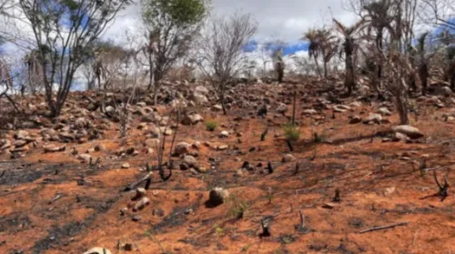 Alagoas registra redução da seca no mês de fevereiro, aponta monitor - Imagem
