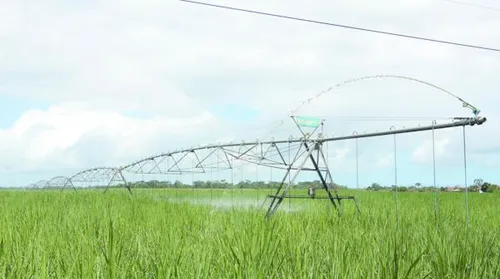 Comissão aprova ressarcimento para produtor rural por perdas decorrentes da falta de energia - Imagem