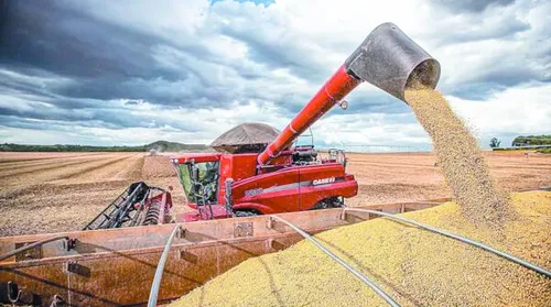 Conab estima produção recorde de grãos em 2025/26 com 353,4 milhões de toneladas - Imagem