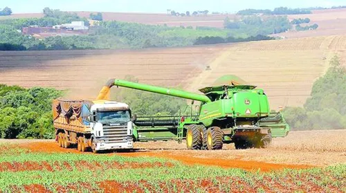 Crédito rural cresce 7% no Plano Safra 2025/2026 - Imagem