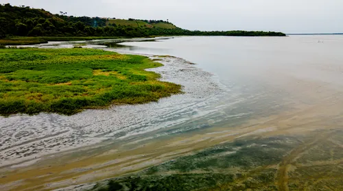 Entre a lama e o abandono: a crise ambiental da Lagoa Mundaú - Imagem