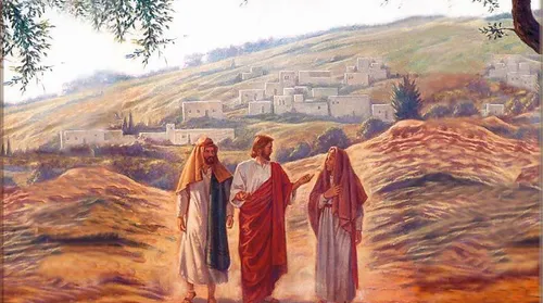 Esperávamos! - Imagem