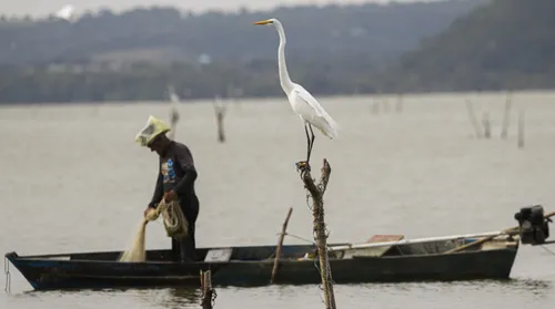Governo federal paga R$ 3,2 milhões a 1,9 mil pescadores alagoanos - Imagem